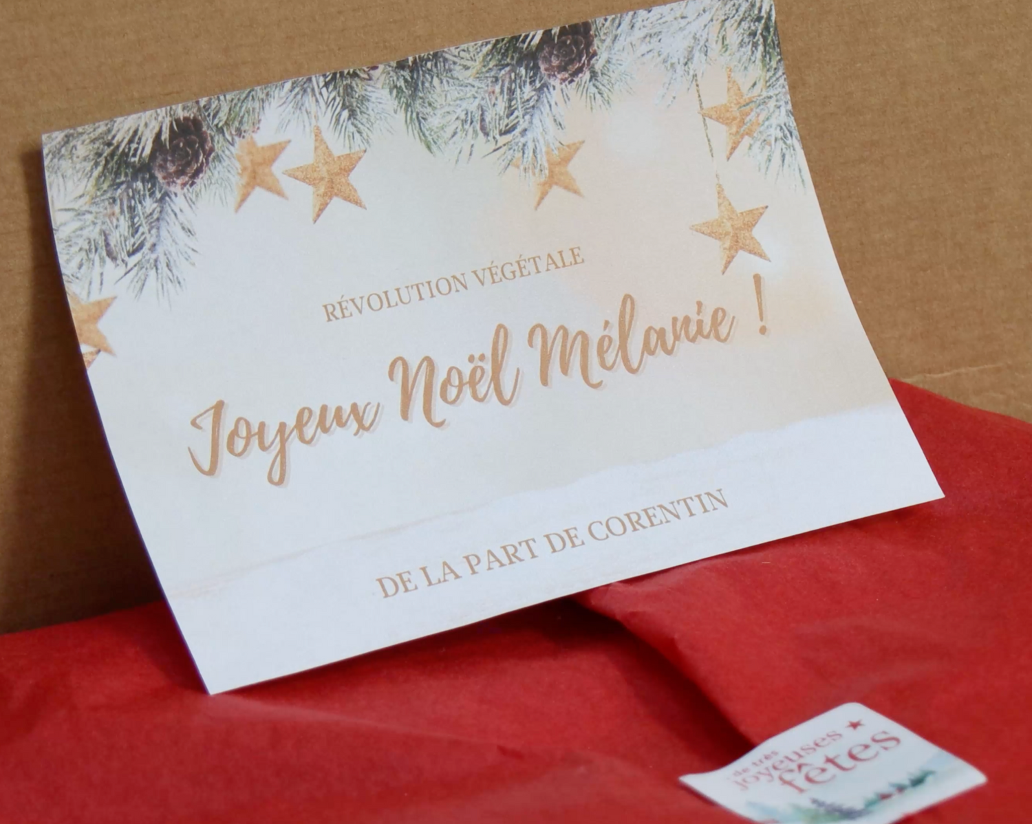 Carte Personnalisée de Noël - revolution-vegetale